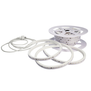 LED Stripes 230V bei EAG Elektroanlagen und Gebäudetechnik GmbH in Aue